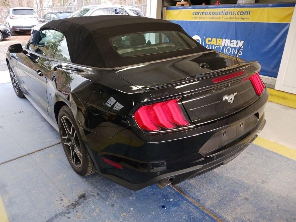used 2020 Ford Mustang car
