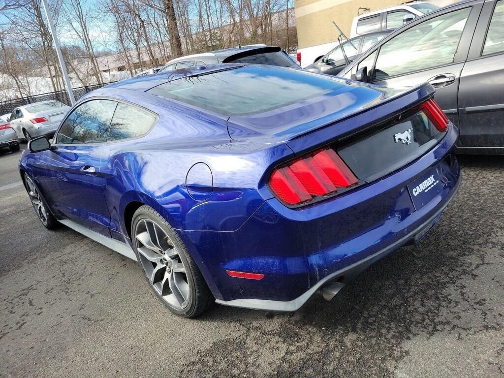 used 2015 Ford Mustang car