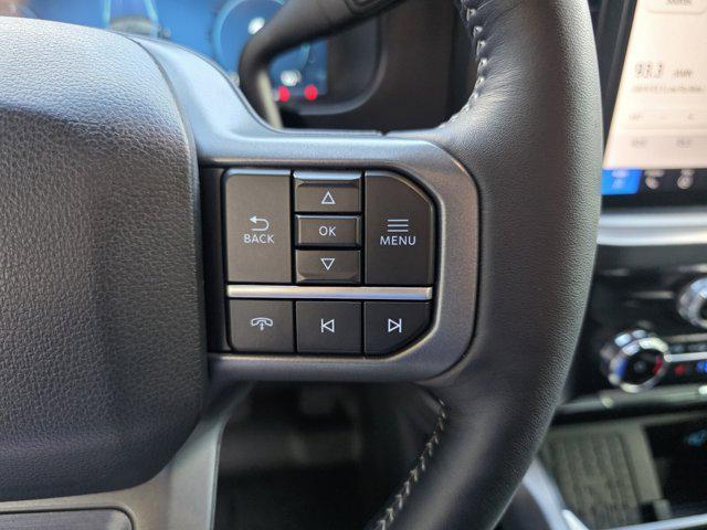 used 2024 Ford F-250 car, priced at $89,995