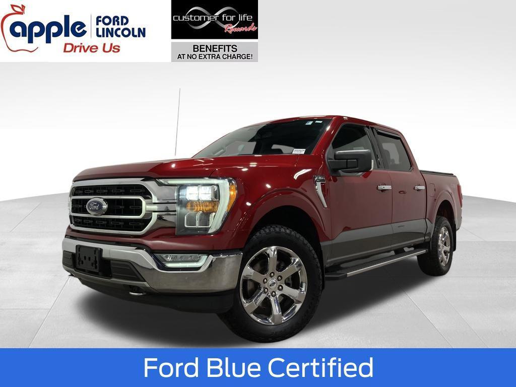 used 2021 Ford F-150 car, priced at $31,000