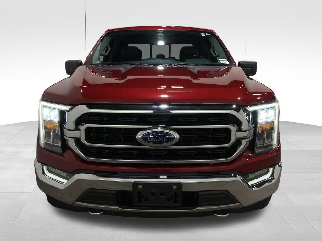 used 2021 Ford F-150 car, priced at $31,000