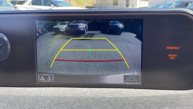 2019 Nebula Gray Pearl Lexus UX 200