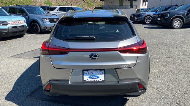 2019 Nebula Gray Pearl Lexus UX 200