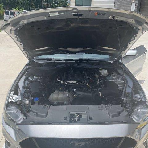 used 2022 Ford Mustang car, priced at $36,431