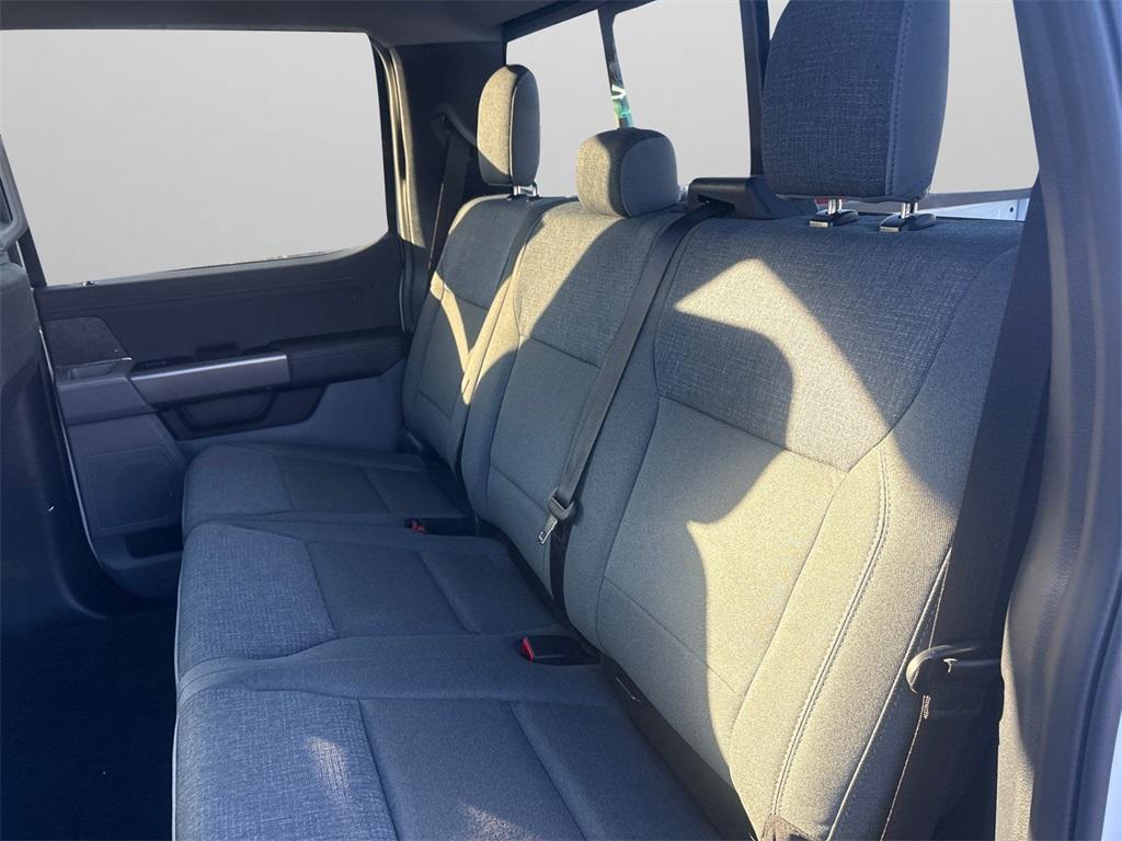 new 2025 Ford F-150 car, priced at $53,000