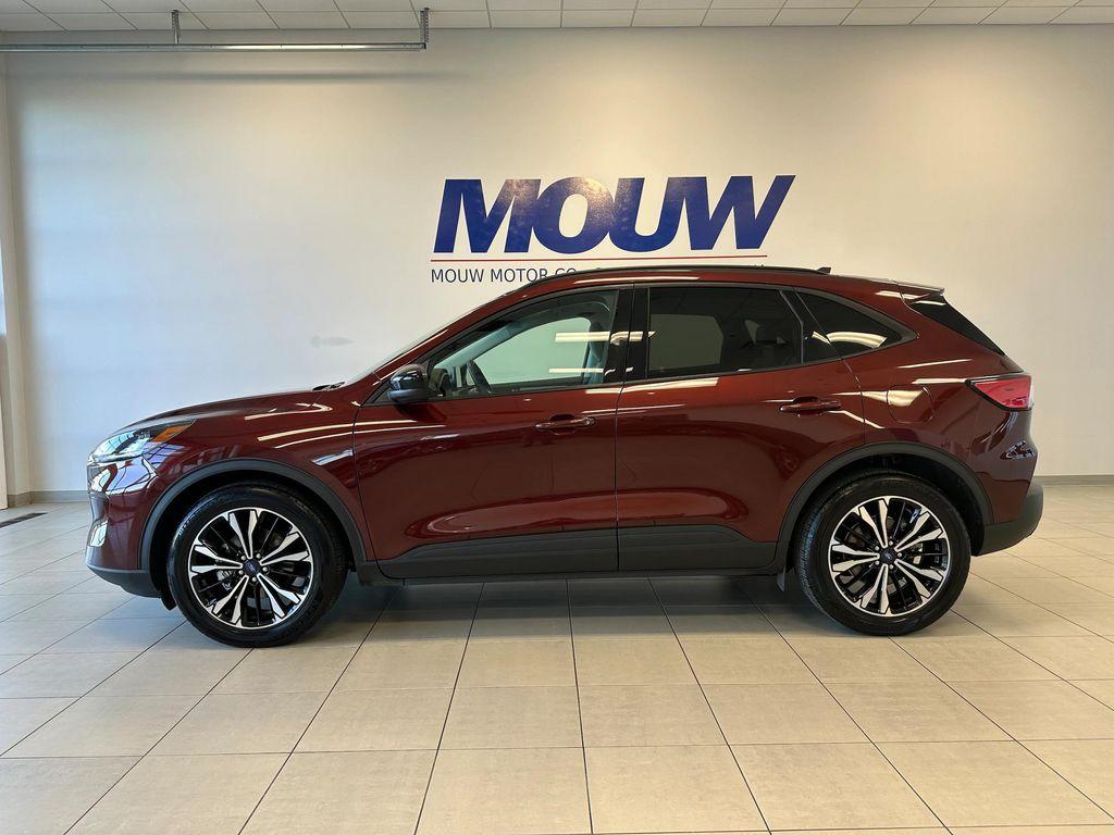 used 2021 Ford Escape car, priced at $19,950