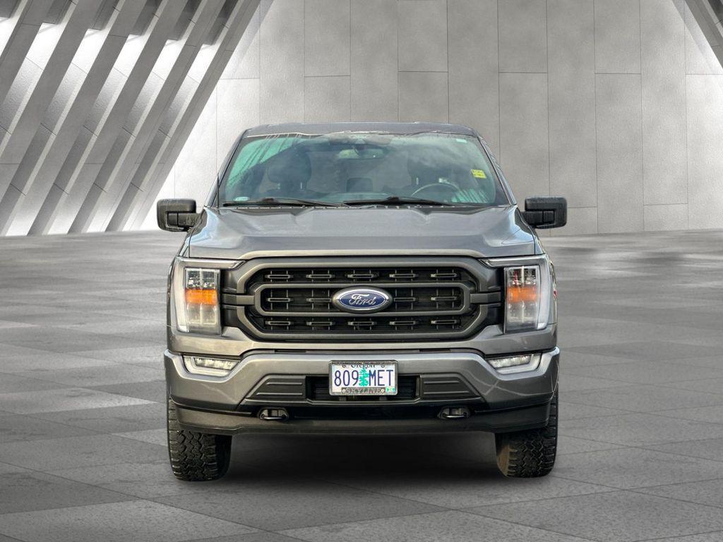 used 2021 Ford F-150 car