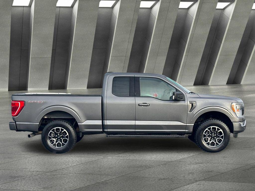 used 2021 Ford F-150 car