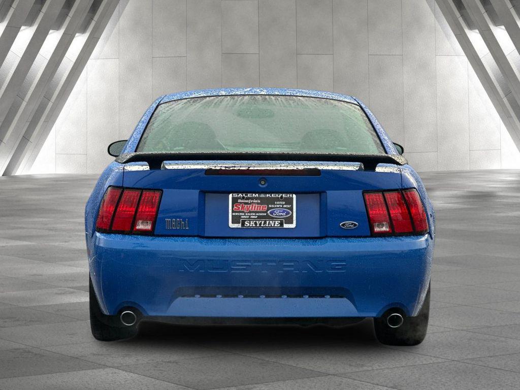 used 2004 Ford Mustang car