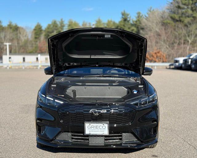new 2025 Ford Mustang Mach-E car, priced at $47,000