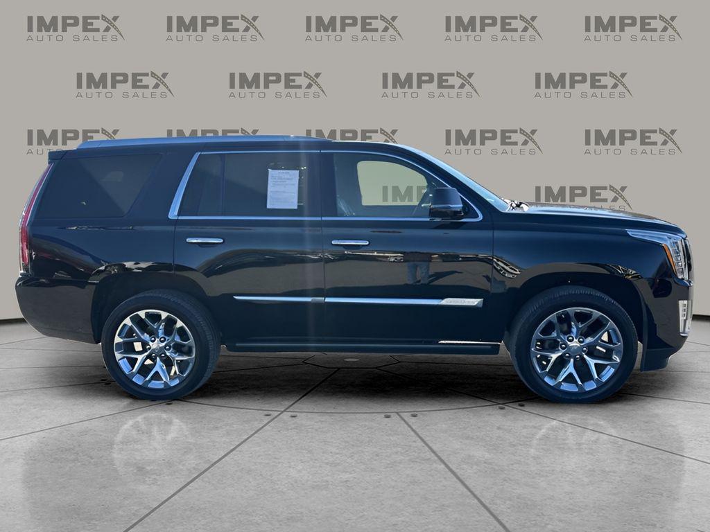 used 2019 Cadillac Escalade car, priced at $33,865