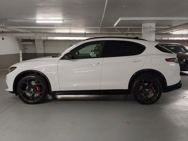 new 2025 Alfa Romeo Stelvio car, priced at $52,990