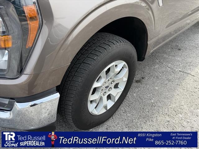 used 2023 Ford F-150 car, priced at $36,163