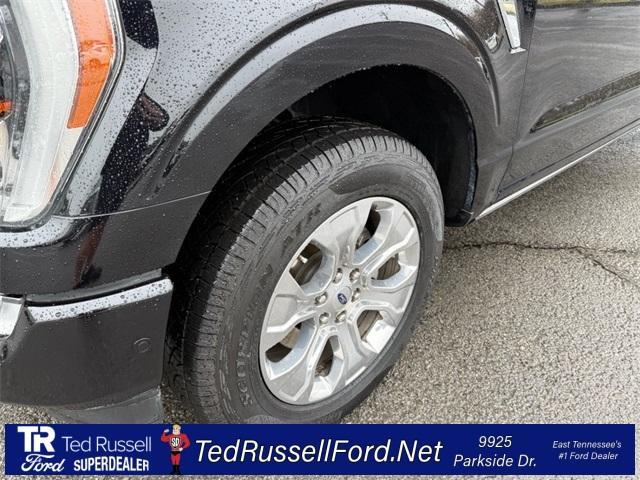 used 2023 Ford F-150 car, priced at $47,700