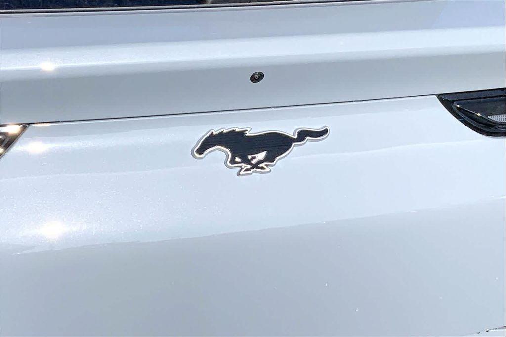 new 2025 Ford Mustang Mach-E car, priced at $58,815