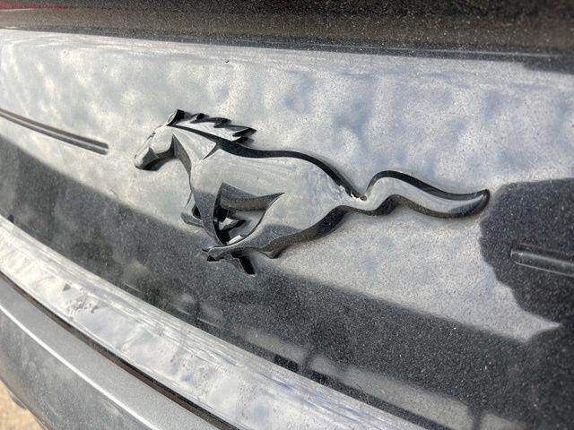 used 2021 Ford Mustang car, priced at $23,895
