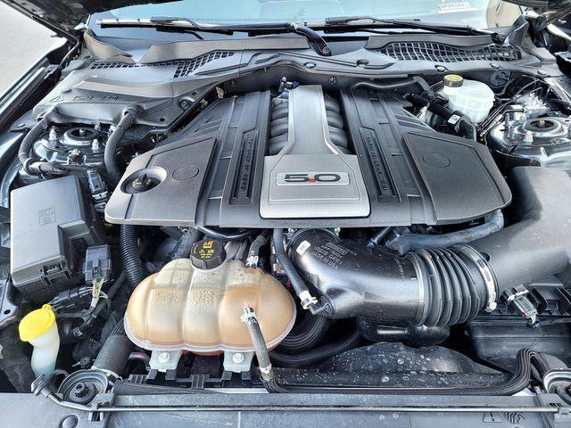 used 2019 Ford Mustang car, priced at $36,073