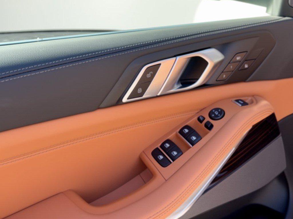 BMW X5 view 15