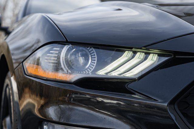 used 2021 Ford Mustang car, priced at $15,000