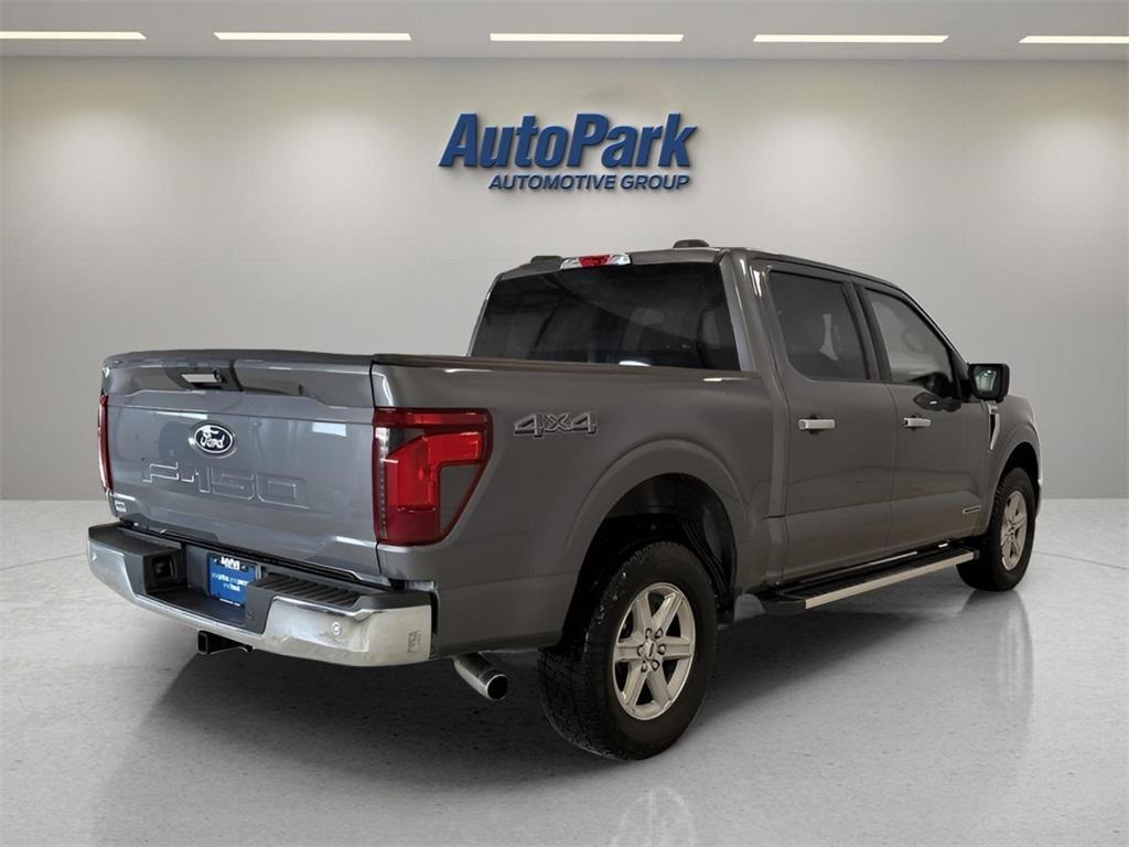 used 2024 Ford F-150 car