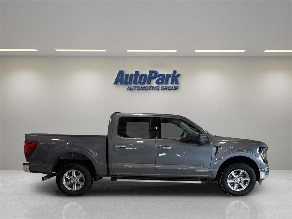 used 2024 Ford F-150 car