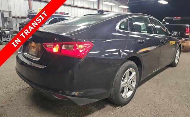 used 2023 Chevrolet Malibu car, priced at $12,705