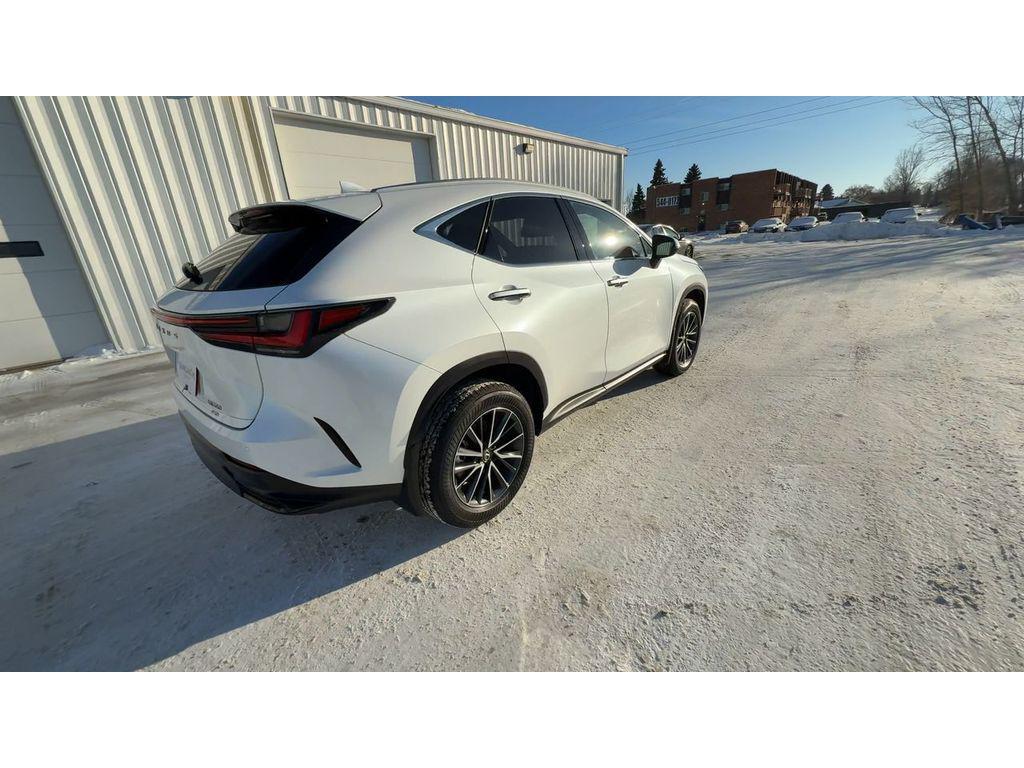 used 2025 Lexus NX 350 car, priced at $41,994