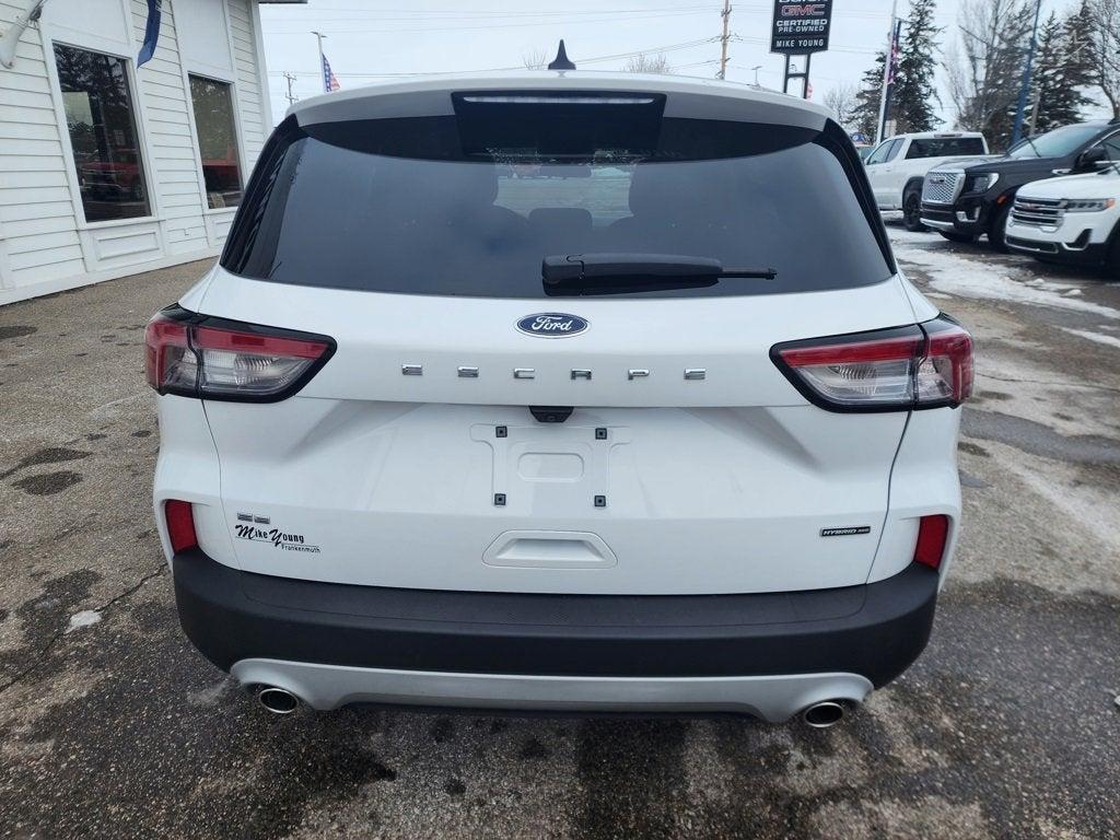 used 2020 Ford Escape car, priced at $19,995