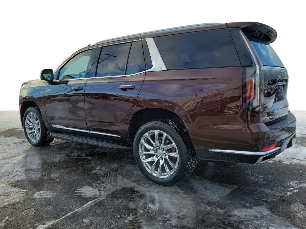 used 2023 Cadillac Escalade car, priced at $59,999
