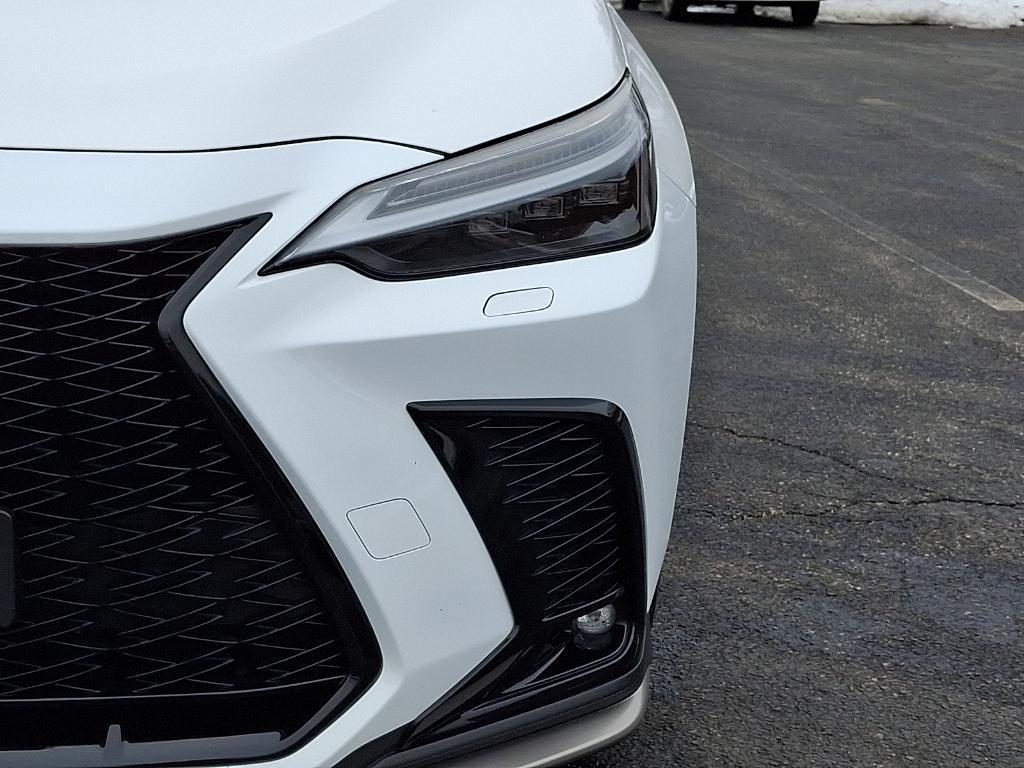 used 2024 Lexus NX 350 car