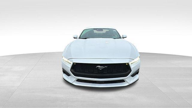 used 2024 Ford Mustang car, priced at $27,900