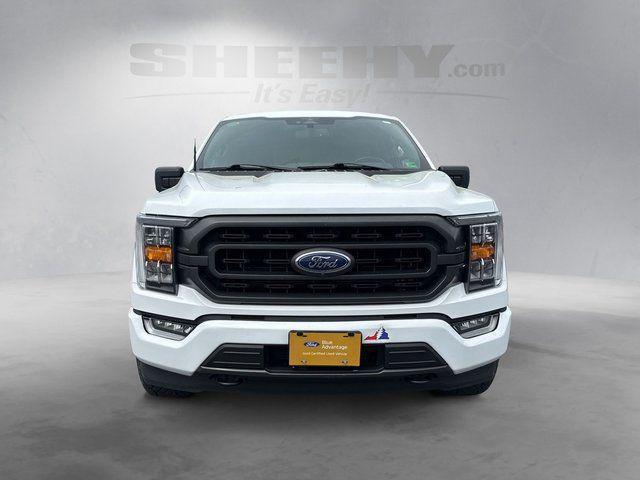 used 2023 Ford F-150 car, priced at $37,750
