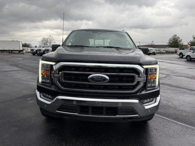 used 2023 Ford F-150 car, priced at $39,990