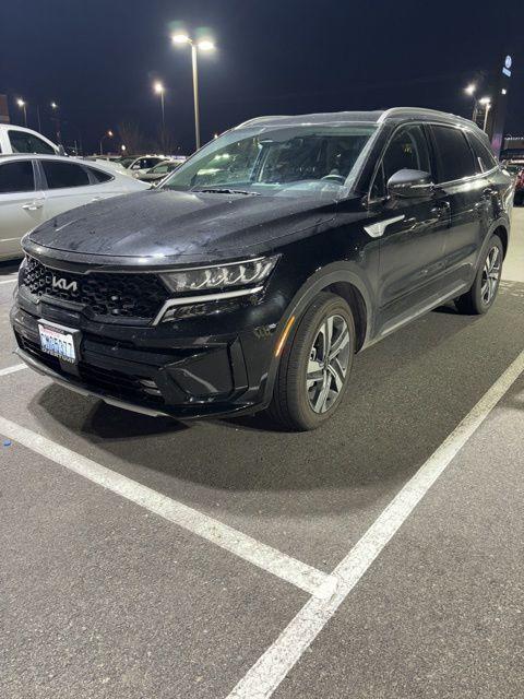 used 2024 Kia Sorento Hybrid car, priced at $30,805