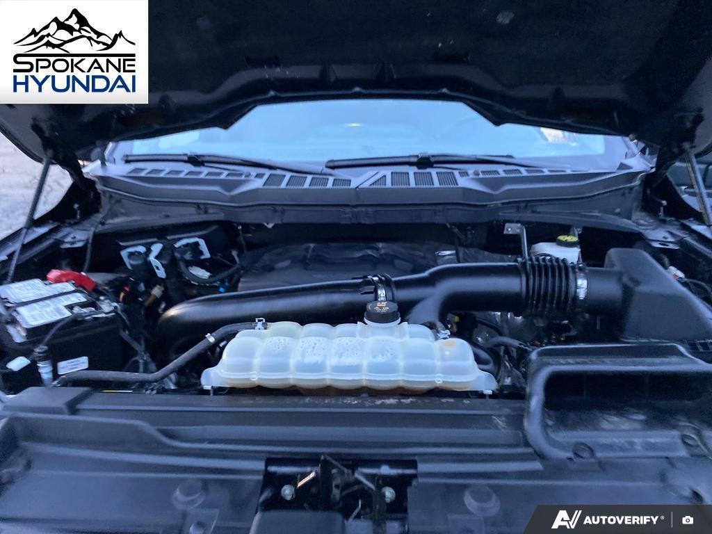 used 2023 Ford F-150 car