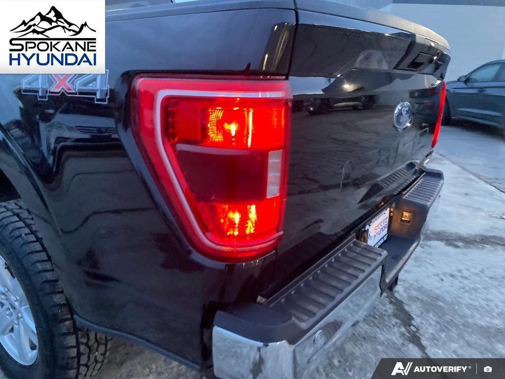 used 2023 Ford F-150 car