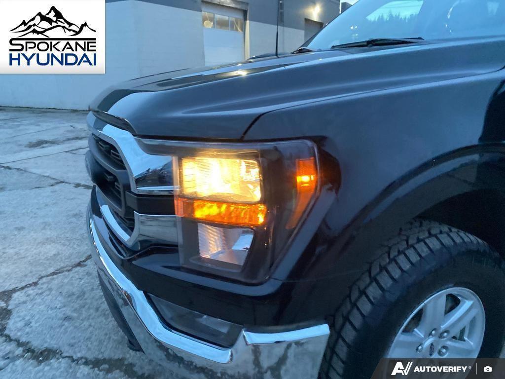 used 2023 Ford F-150 car