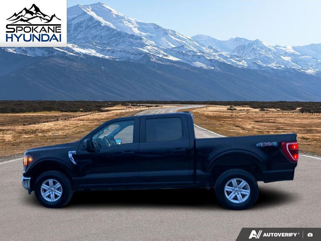 used 2023 Ford F-150 car