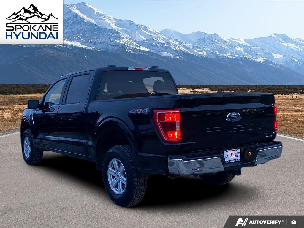 used 2023 Ford F-150 car