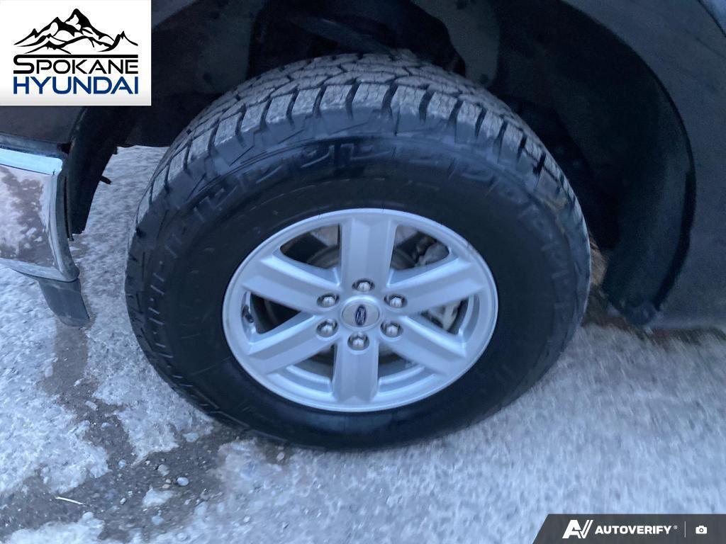 used 2023 Ford F-150 car