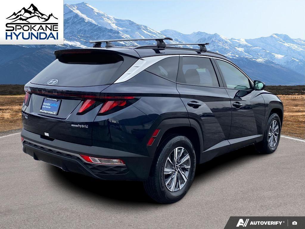 used 2024 Hyundai TUCSON Hybrid car