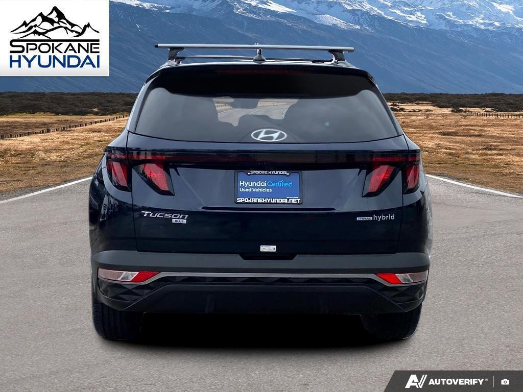 used 2024 Hyundai TUCSON Hybrid car