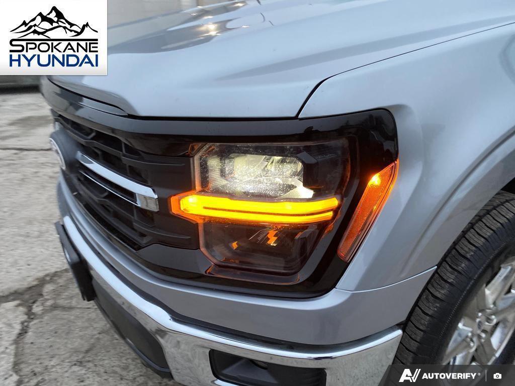 used 2024 Ford F-150 car