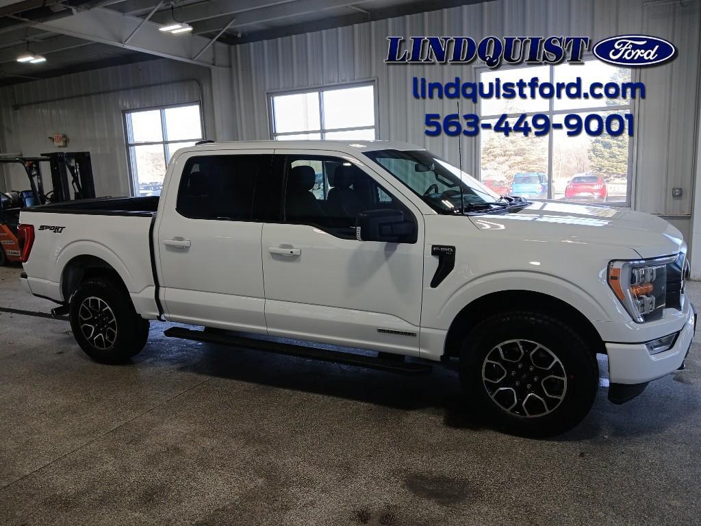 used 2021 Ford F-150 car, priced at $31,990