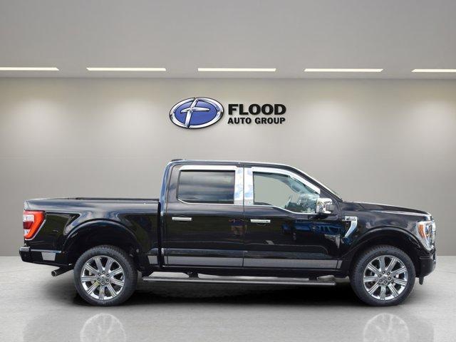 used 2023 Ford F-150 car, priced at $53,804