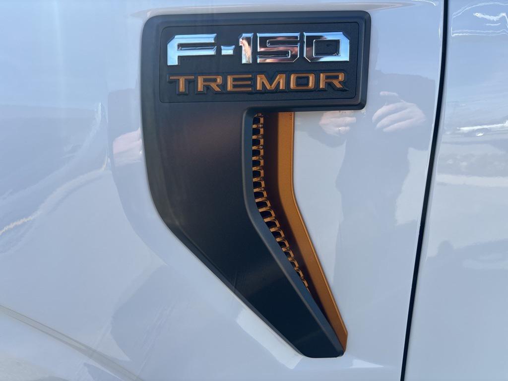new 2025 Ford F-150 car, priced at $69,773