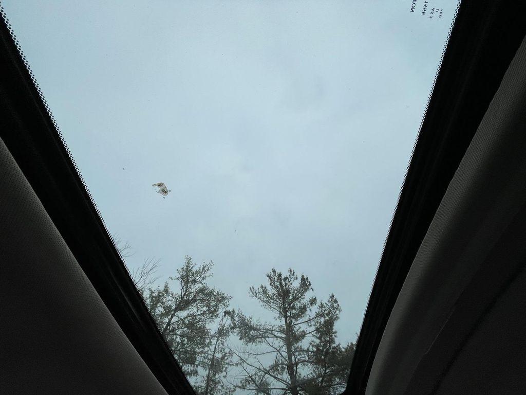 used 2016 Honda CR-V car, priced at $15,712