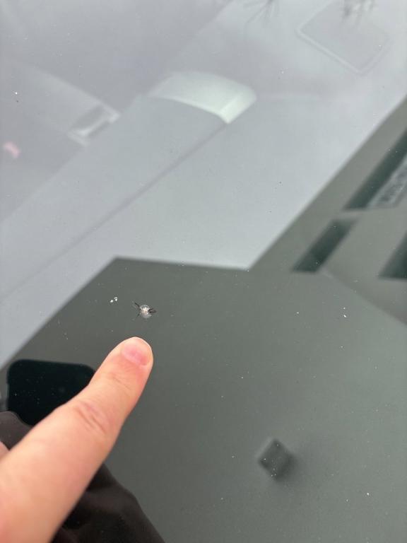 used 2009 Toyota Prius car, priced at $5,799