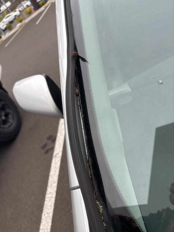 used 2009 Toyota Prius car, priced at $5,799