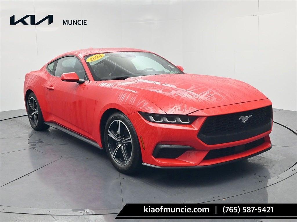 used 2024 Ford Mustang car, priced at $31,310
